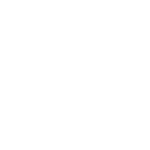 Décrassage Entrées de Commerce